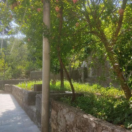 Apartman Arbanas Dubrovnik Luaran gambar